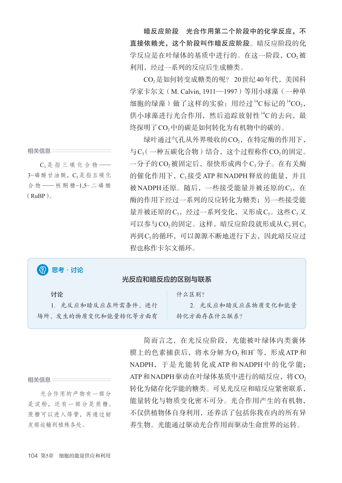 novel_f7164eebb2af.jpg