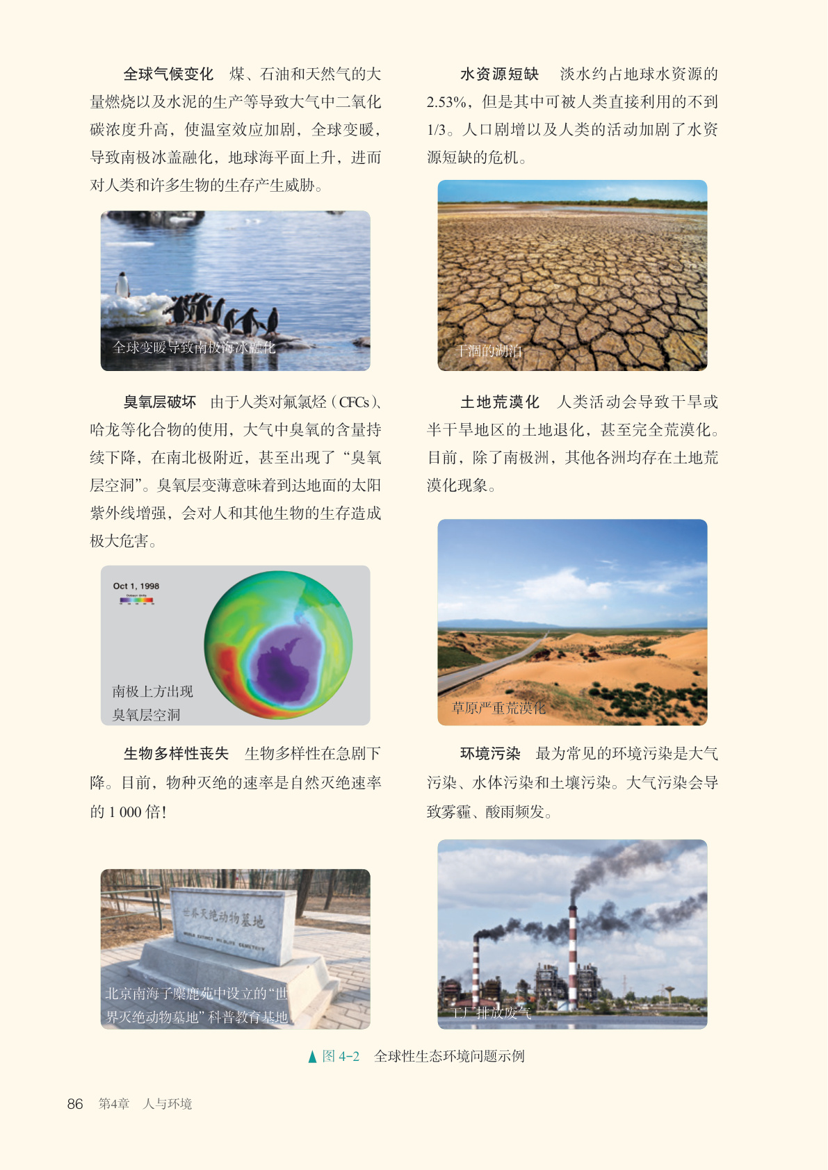 novel_6f84ab9a56a1.jpg