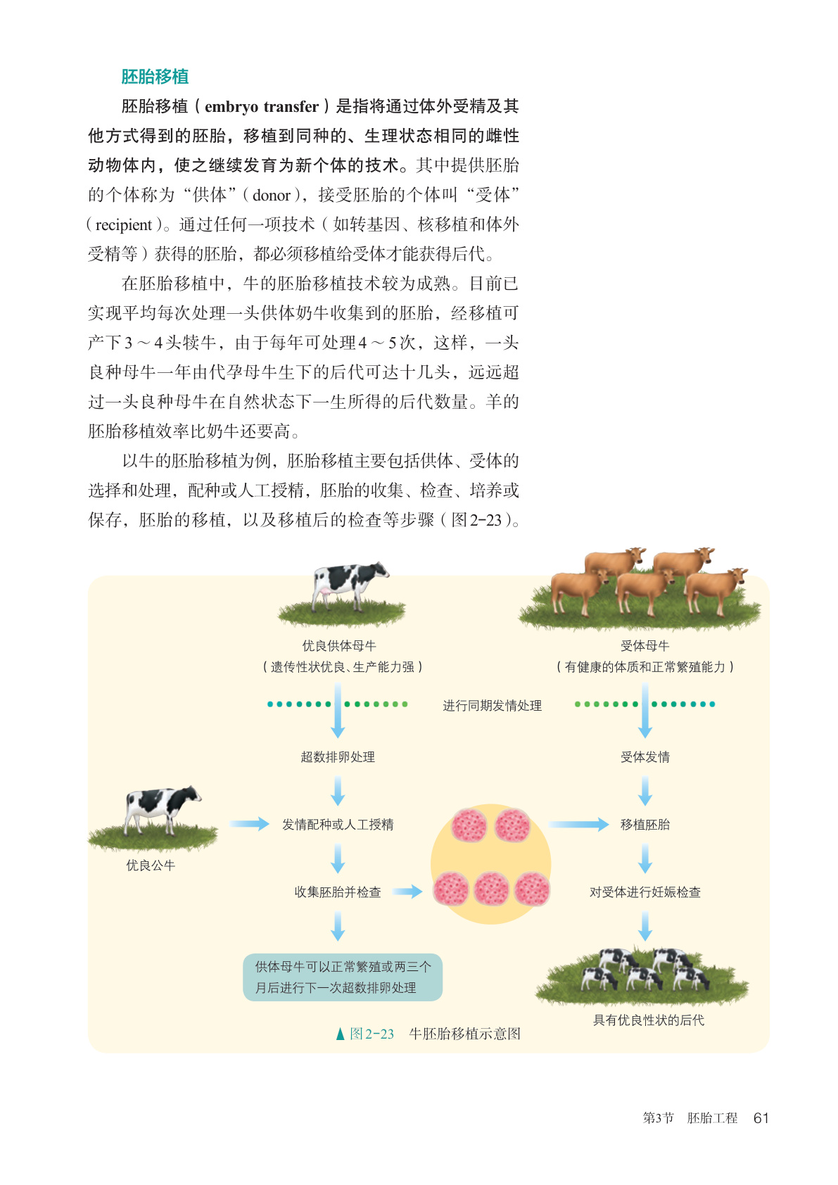 novel_eaecb24a0e2d.jpg