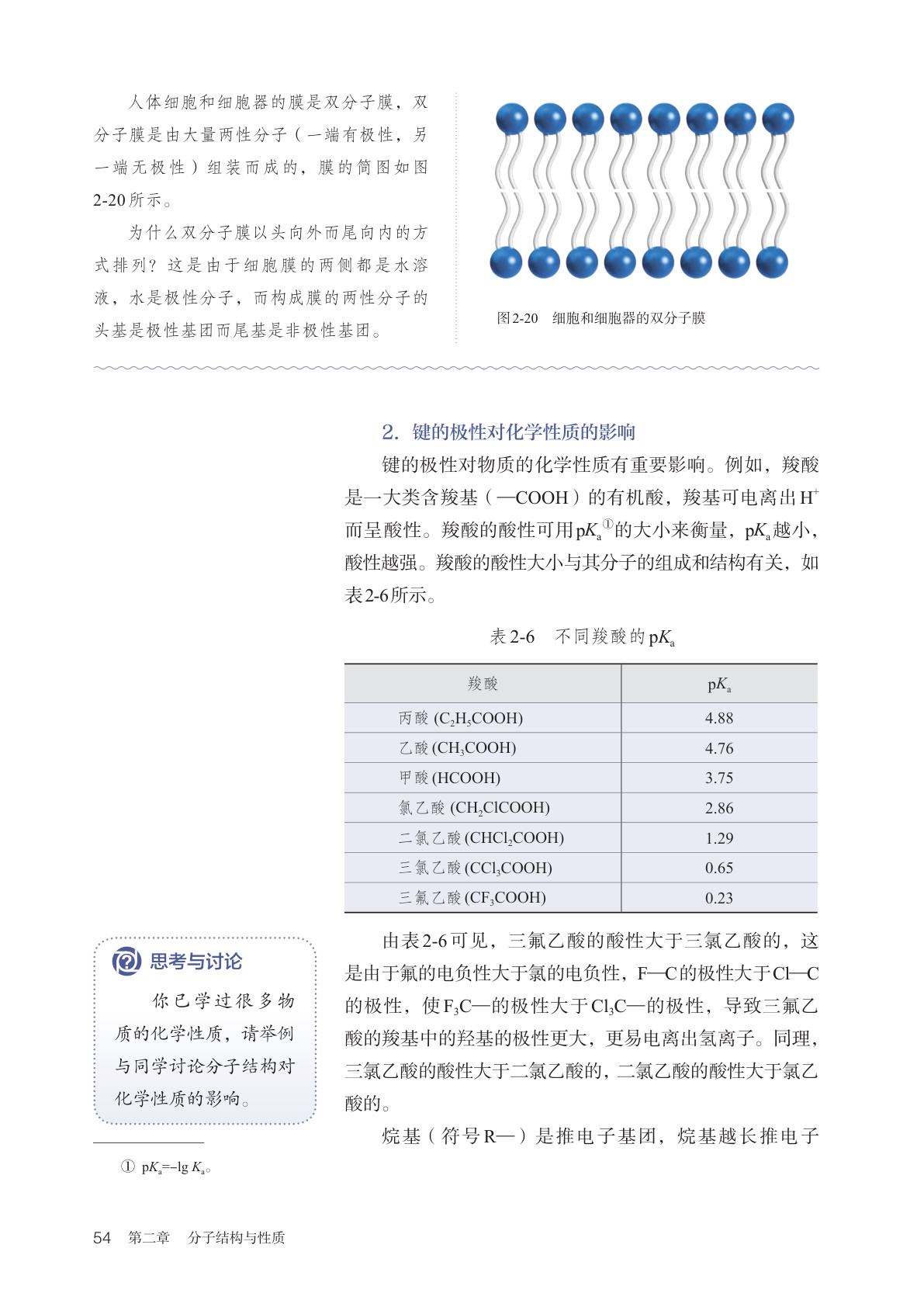 novel_1dd30fc5dcf1.jpg
