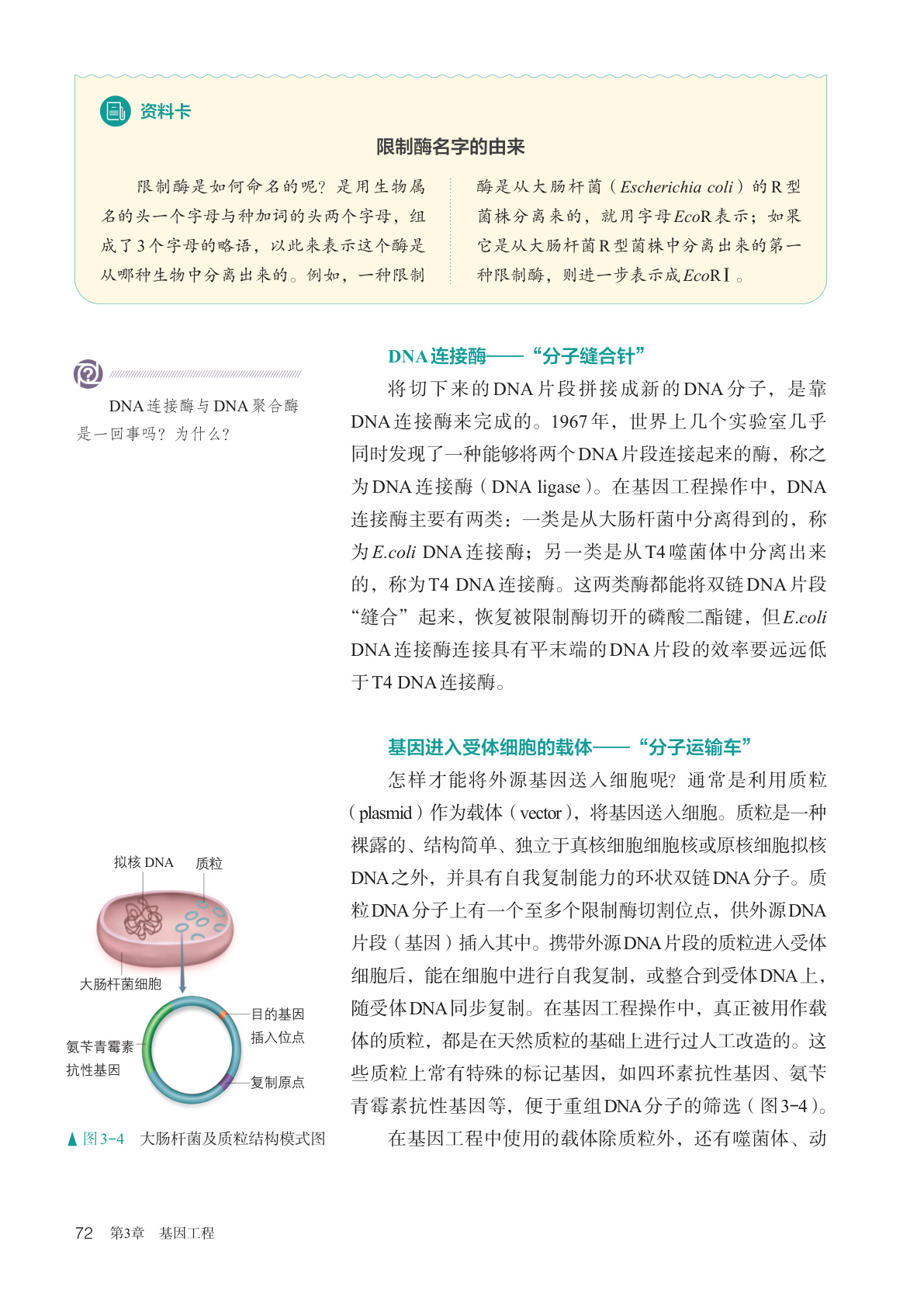 novel_ee96fdae5b25.jpg