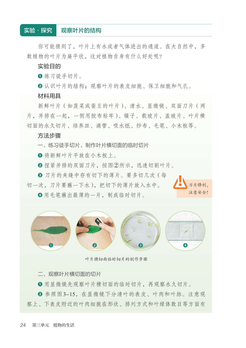 novel_8c114ab57ce5.jpg
