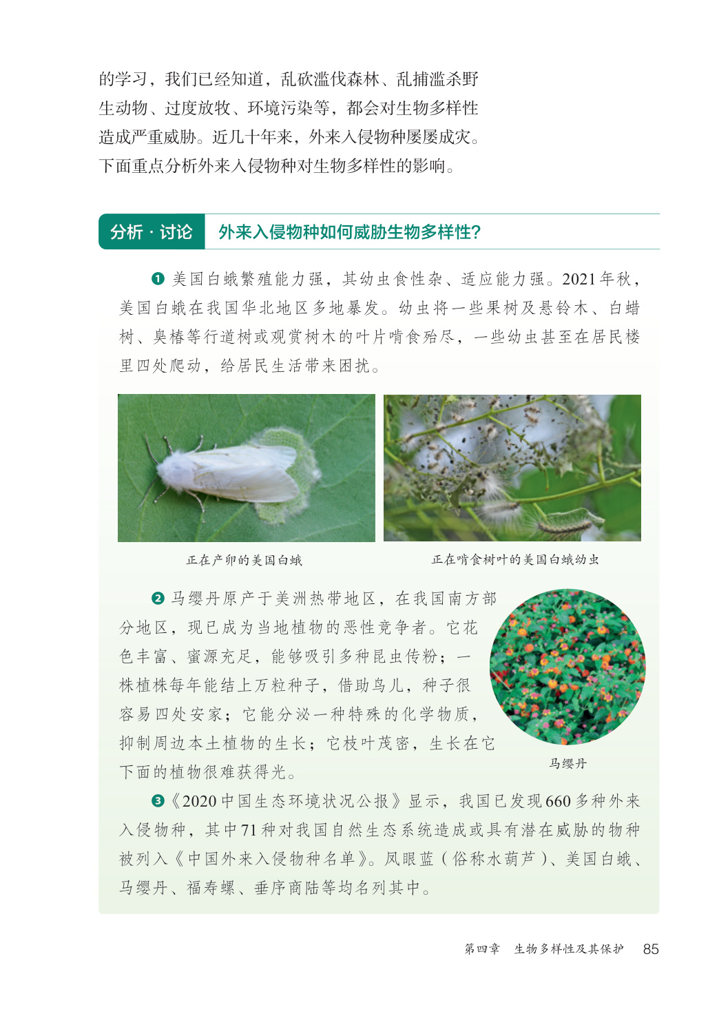 novel_489696db6ddb.jpg