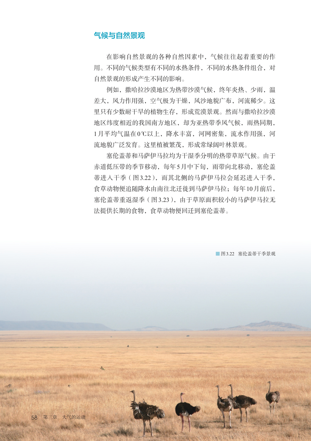 novel_b55a40a87666.jpg