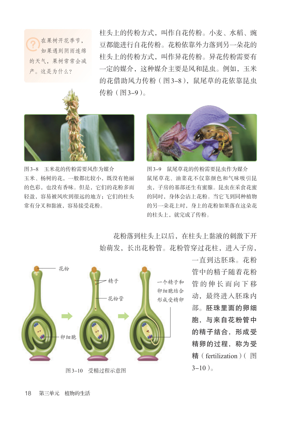 novel_7b60ec6b8456.jpg