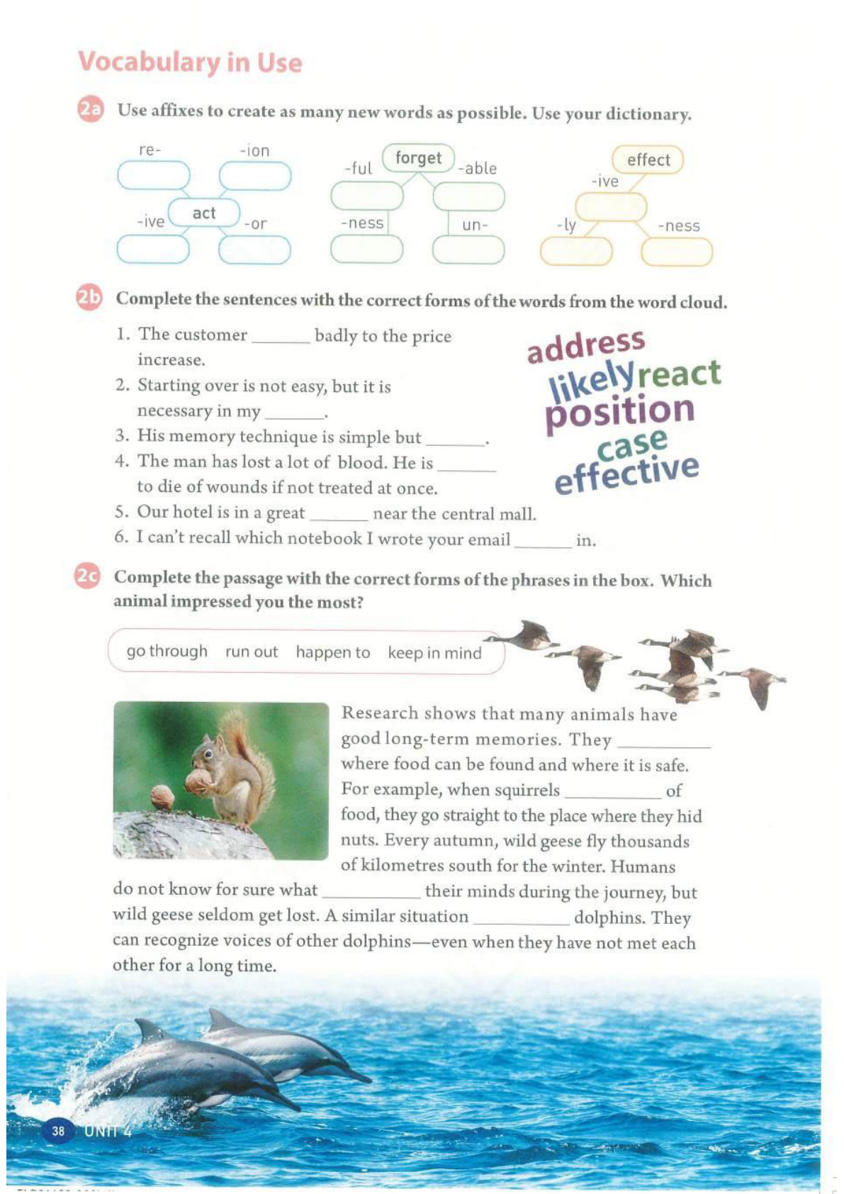 novel_e431a35550cf.jpg