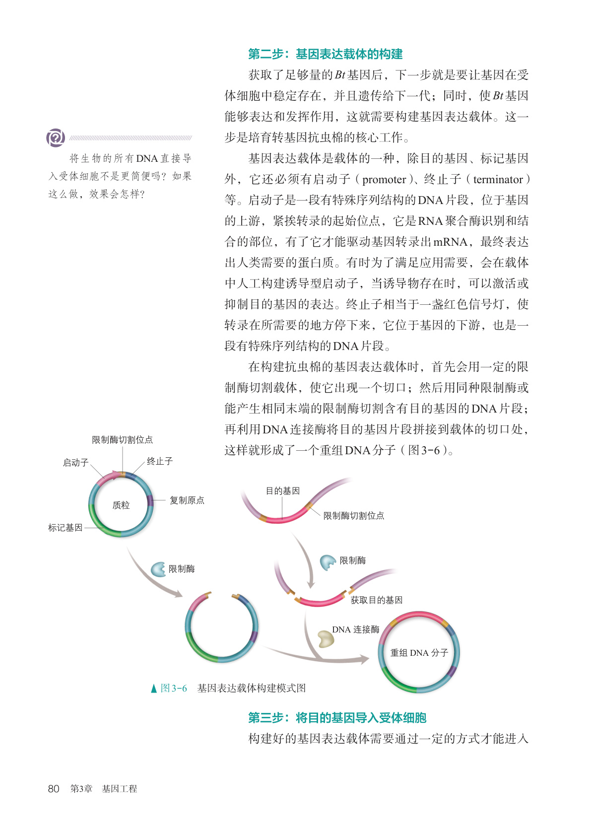 novel_25ff7d098cd5.jpg