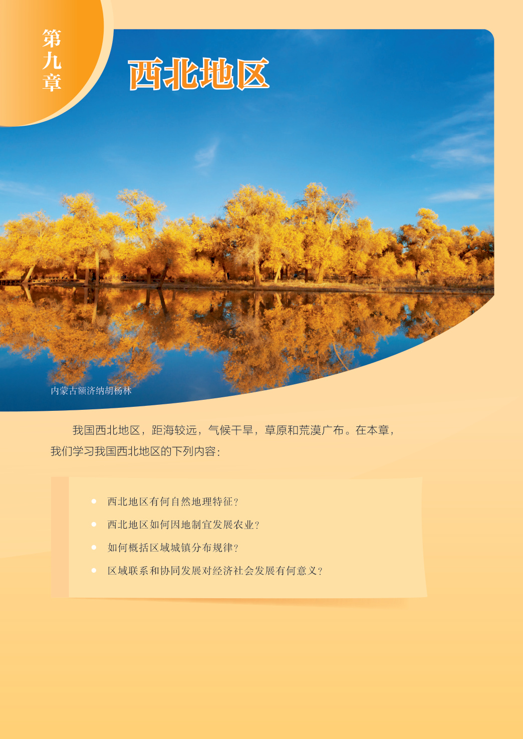 novel_1e5f2910dd69.jpg