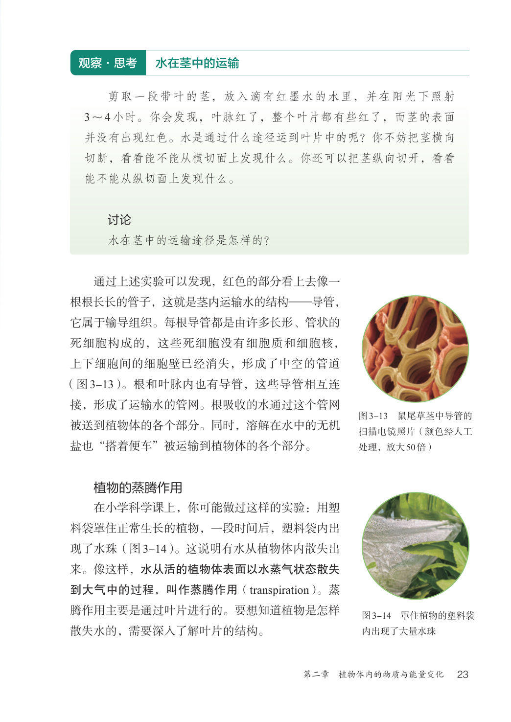 novel_b552d284fb30.jpg