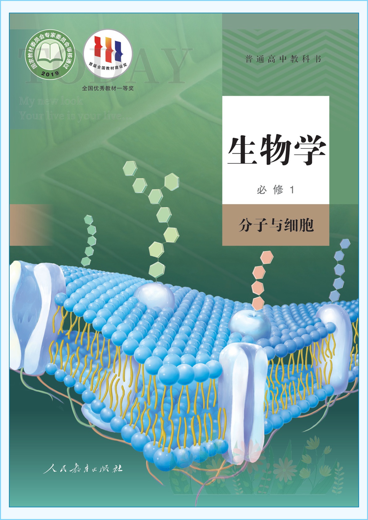 novel_80b53a3caccc.jpg