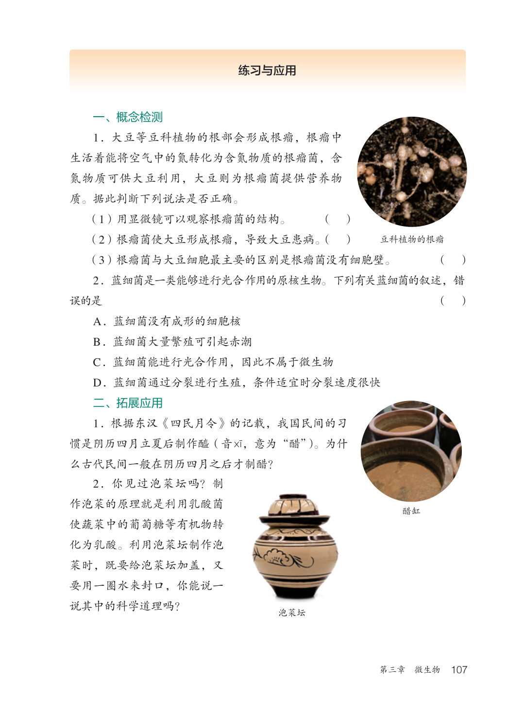 novel_a3efb1bc1fe2.jpg