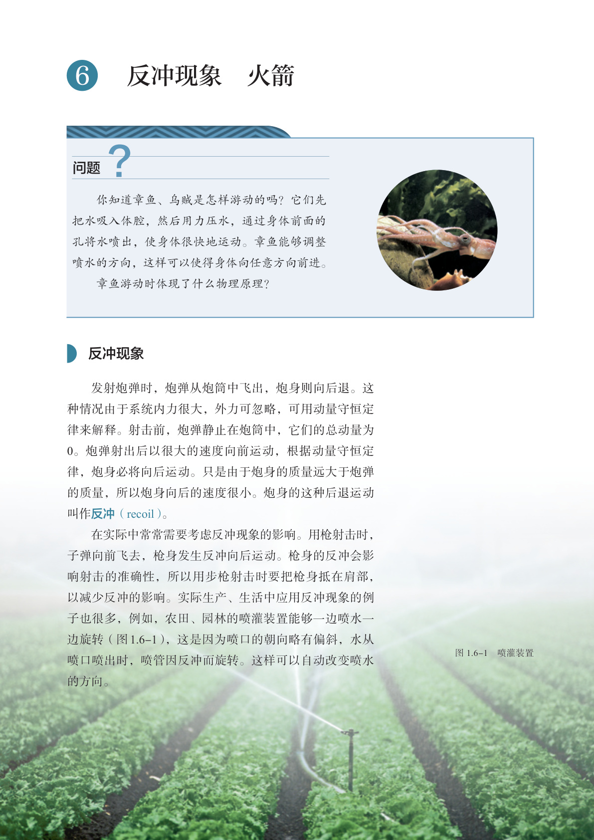 novel_24e1d7ddd8ed.jpg