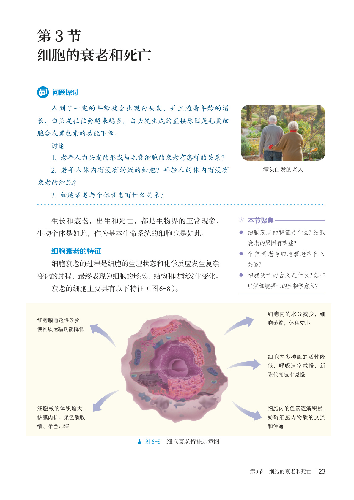 novel_87844c1c55b5.jpg