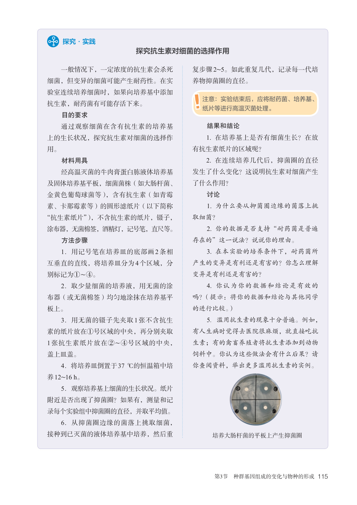 novel_bad33f0a8124.jpg