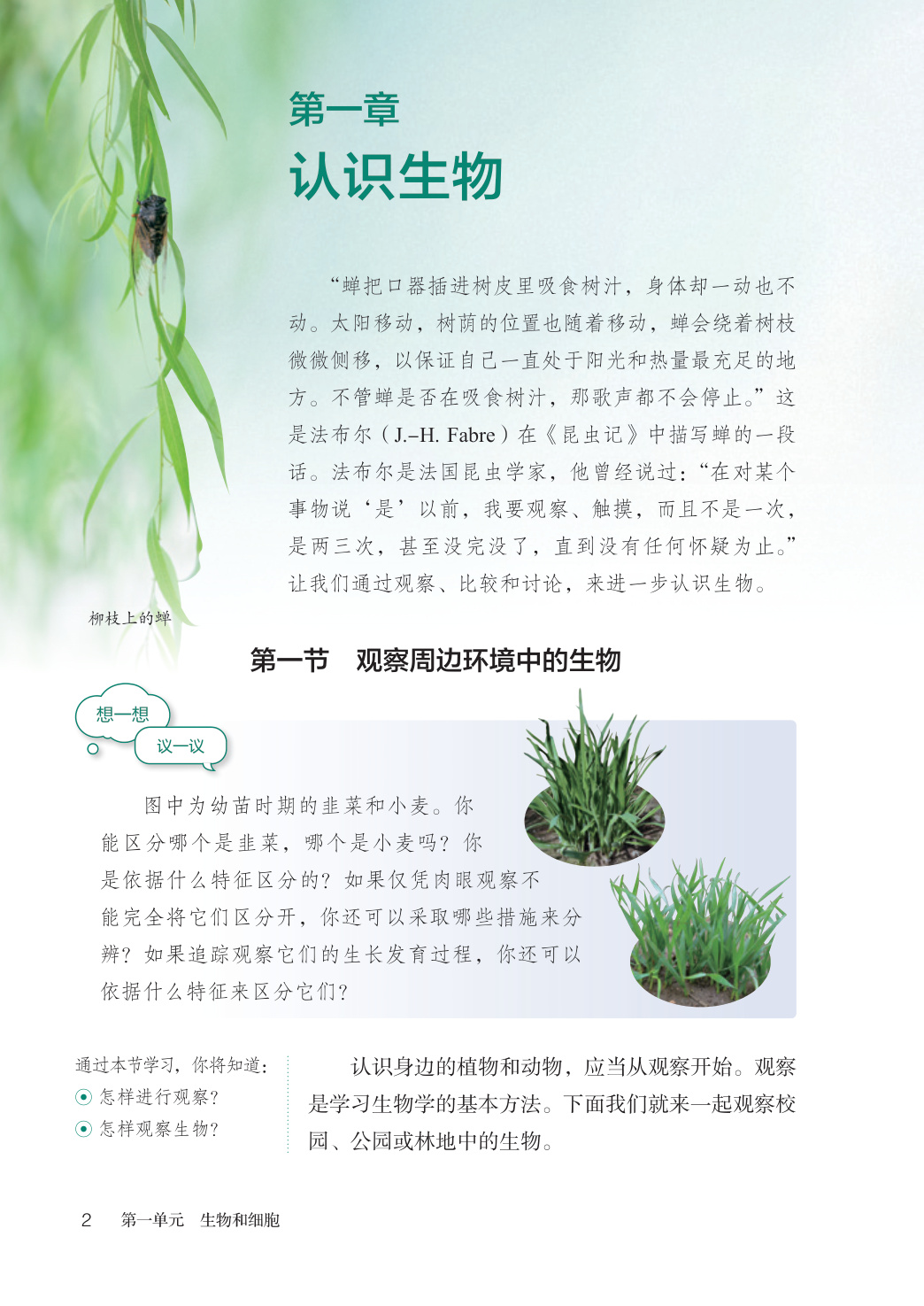 novel_79956910f4cb.jpg