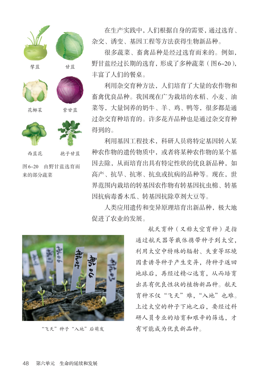 novel_f98260b0c5dd.jpg