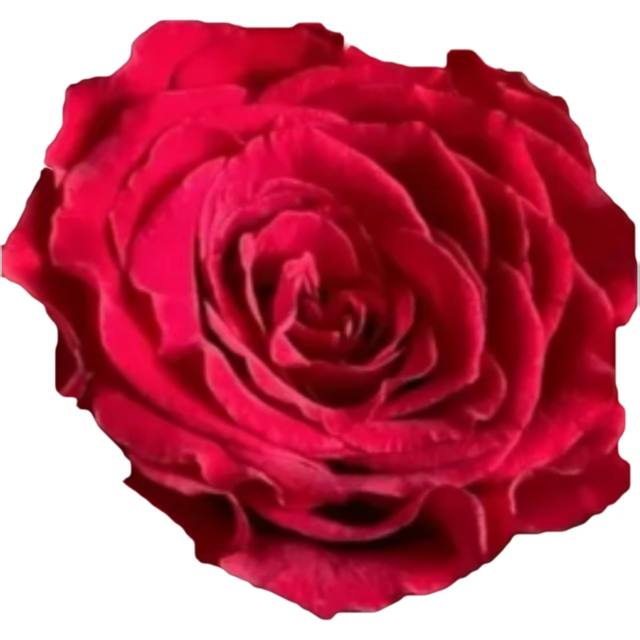 珍爱.png