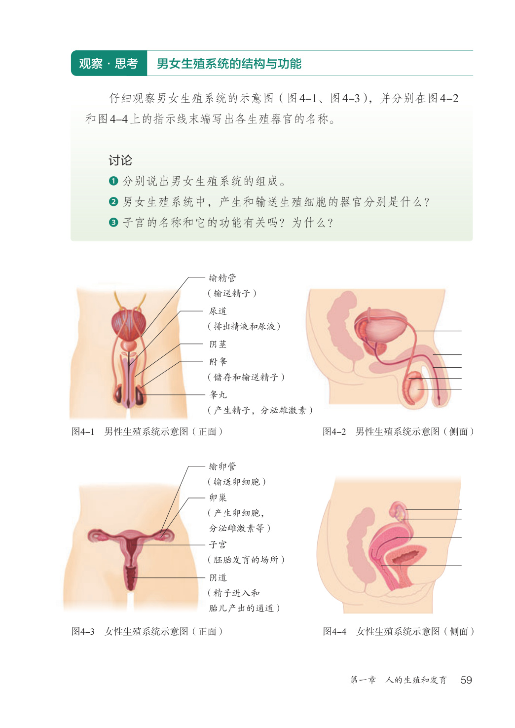 novel_ebf79751df55.jpg