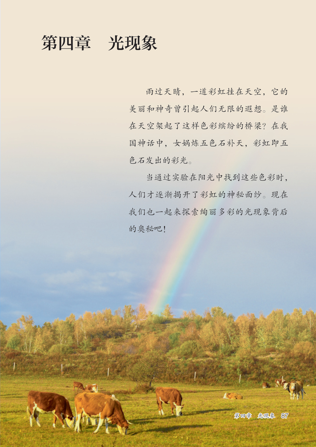 novel_872913968f2d.jpg