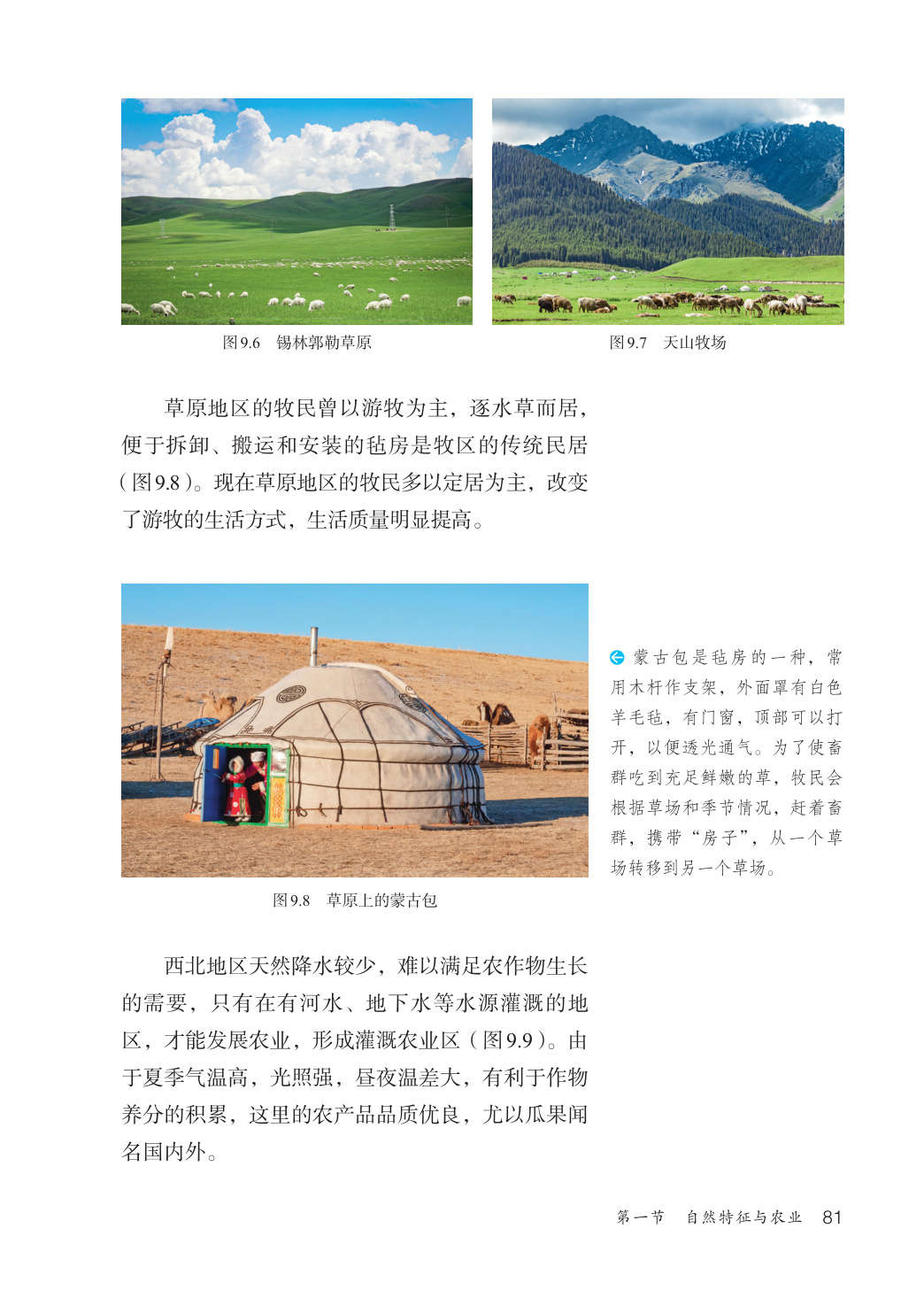 novel_031a0cb6a77d.jpg