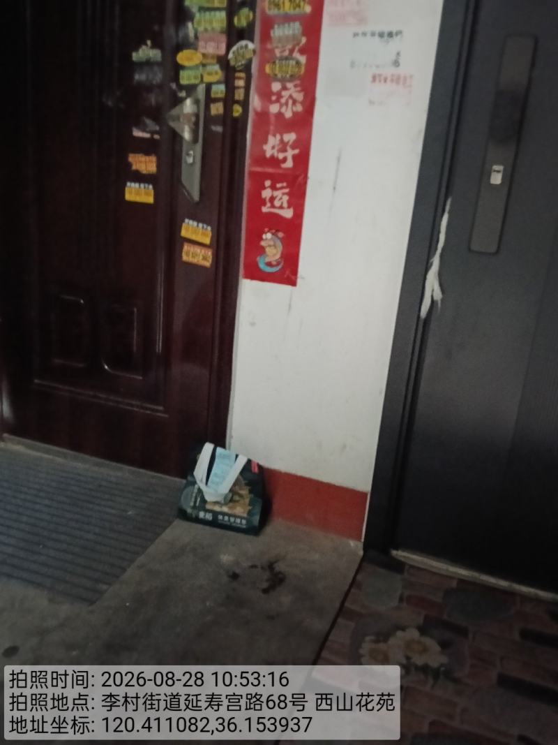 0829-送达-青岛.jpg