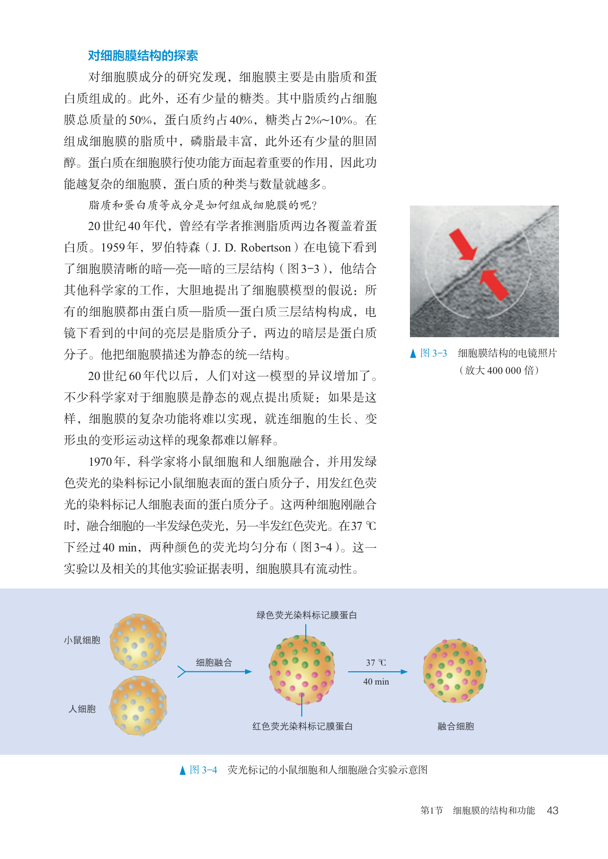 novel_d7eaceb43217.jpg