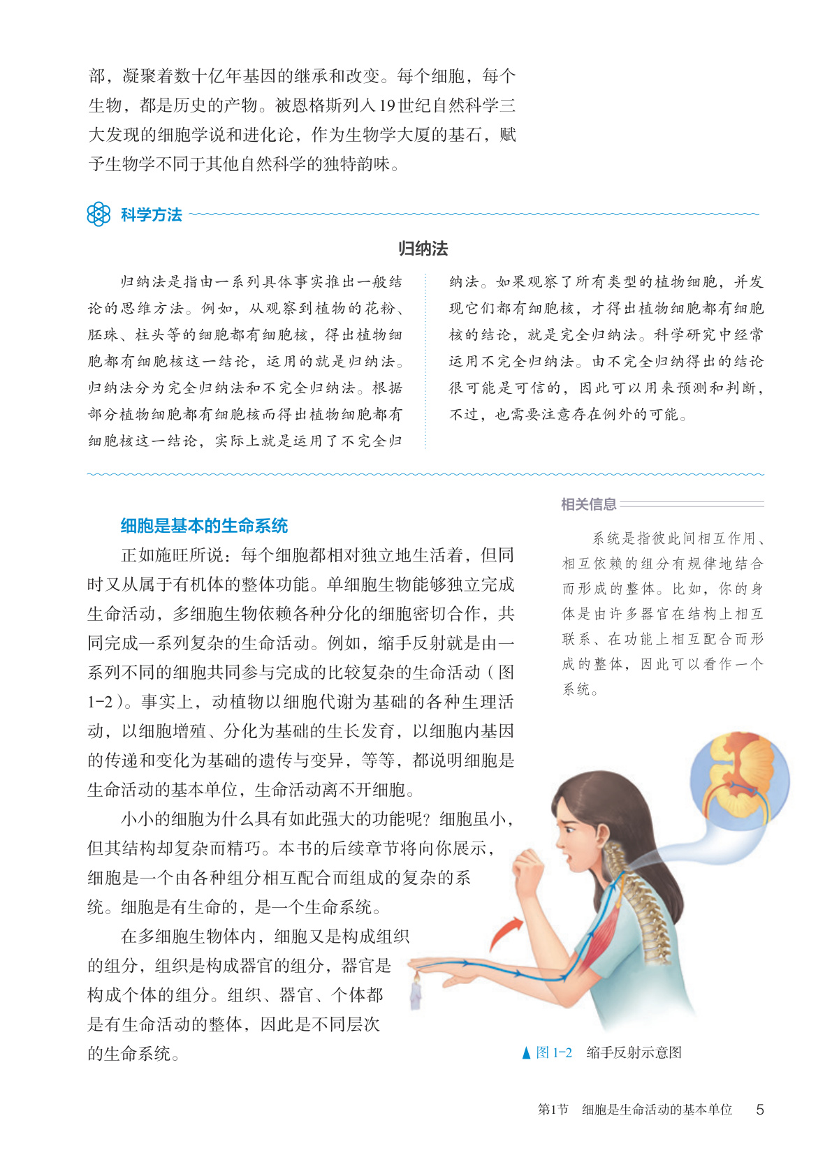novel_c4829513d27b.jpg