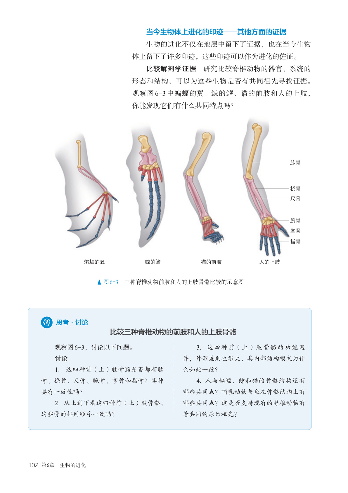 novel_18298f39bd12.jpg