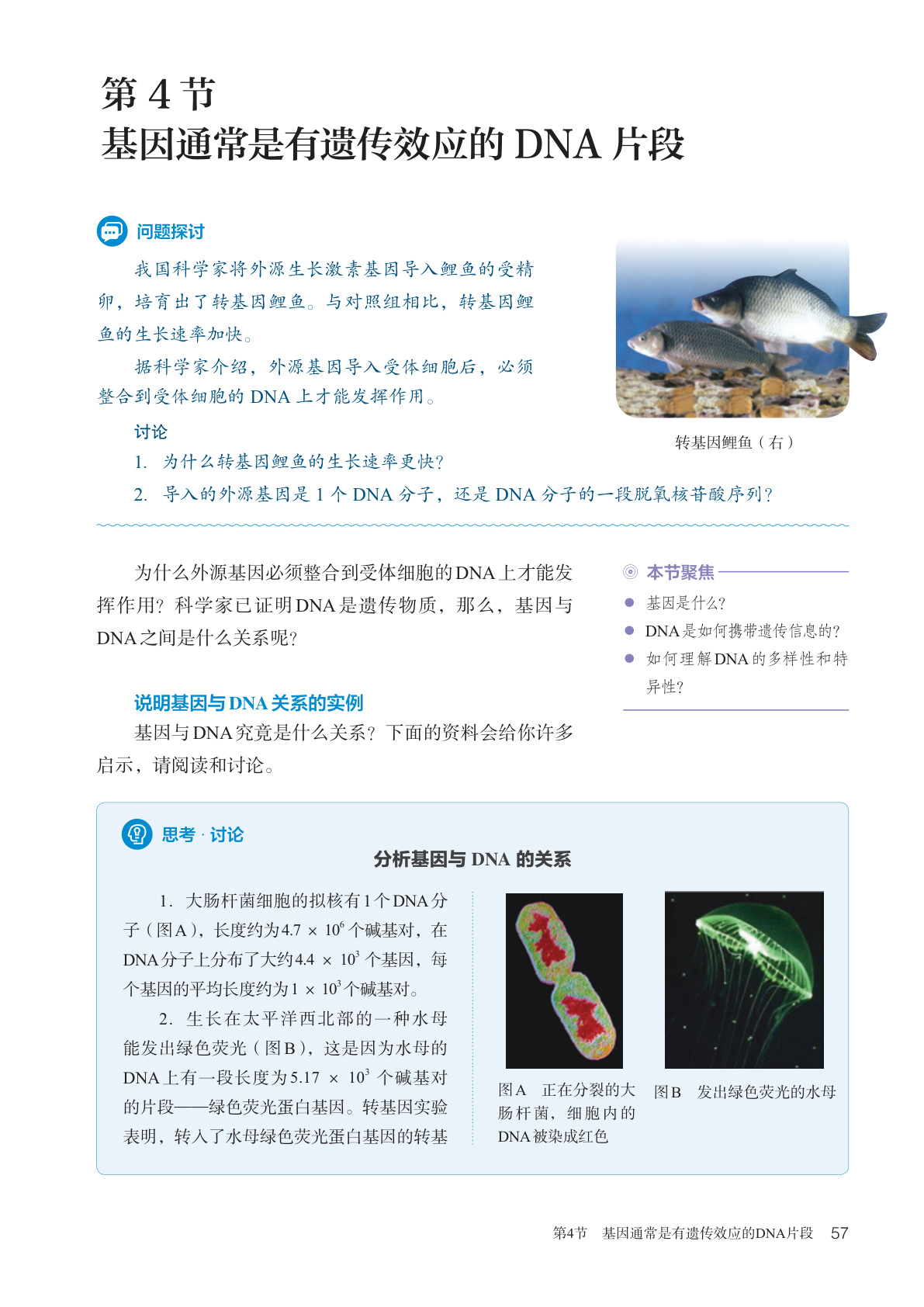 novel_2a1fe3827d10.jpg