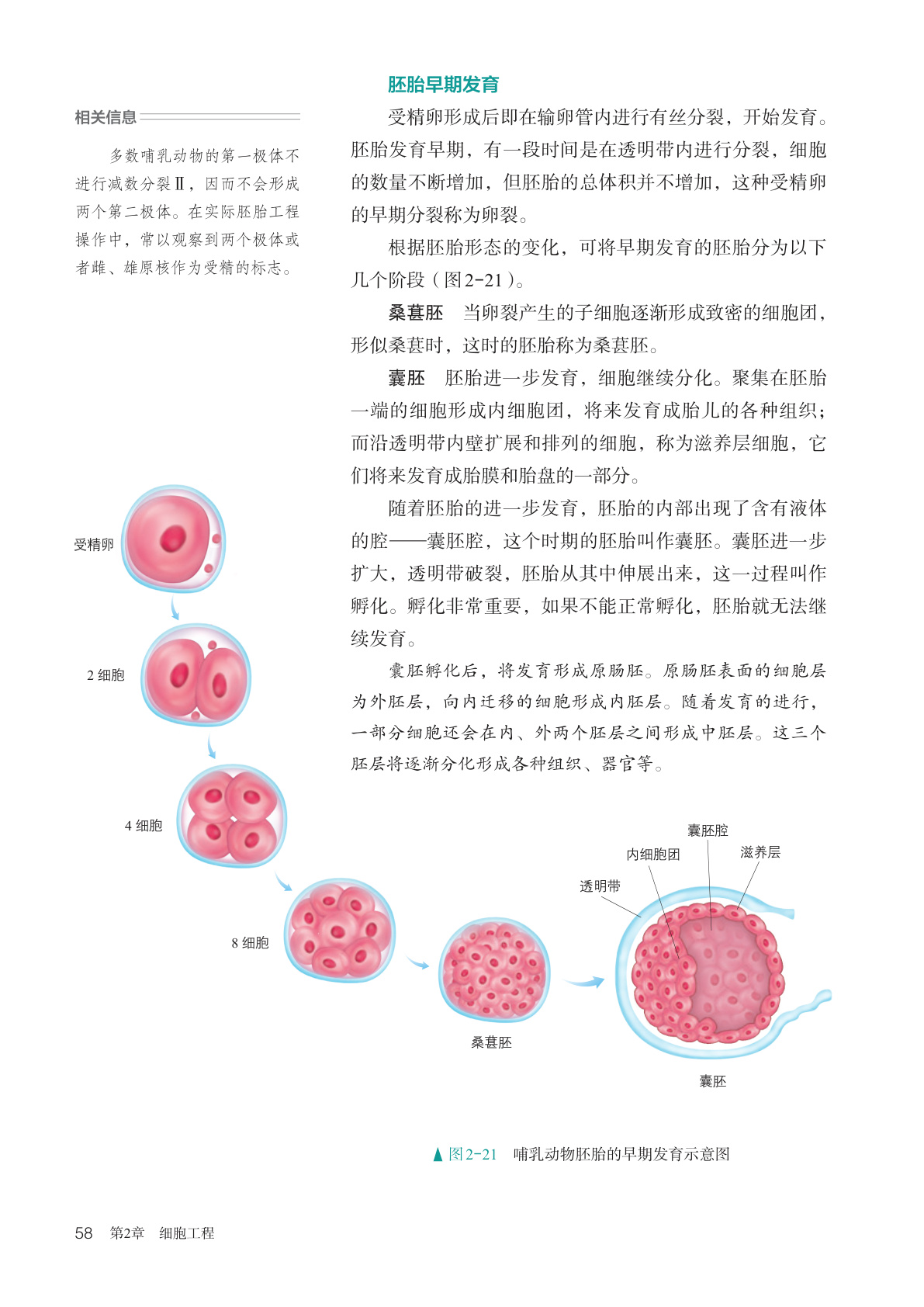 novel_e04f8de93d2f.jpg