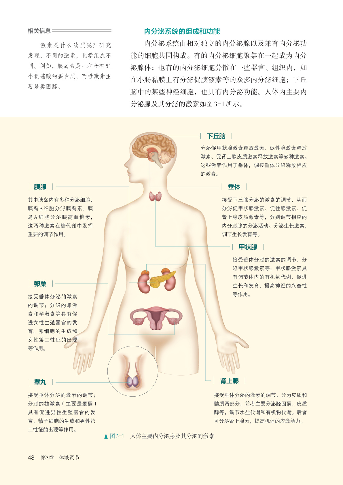 novel_8692073c1580.jpg