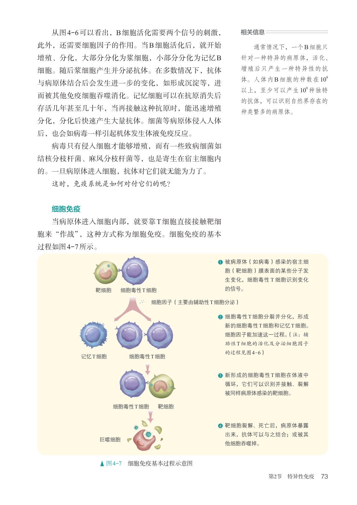 novel_ec435fa99d0d.jpg