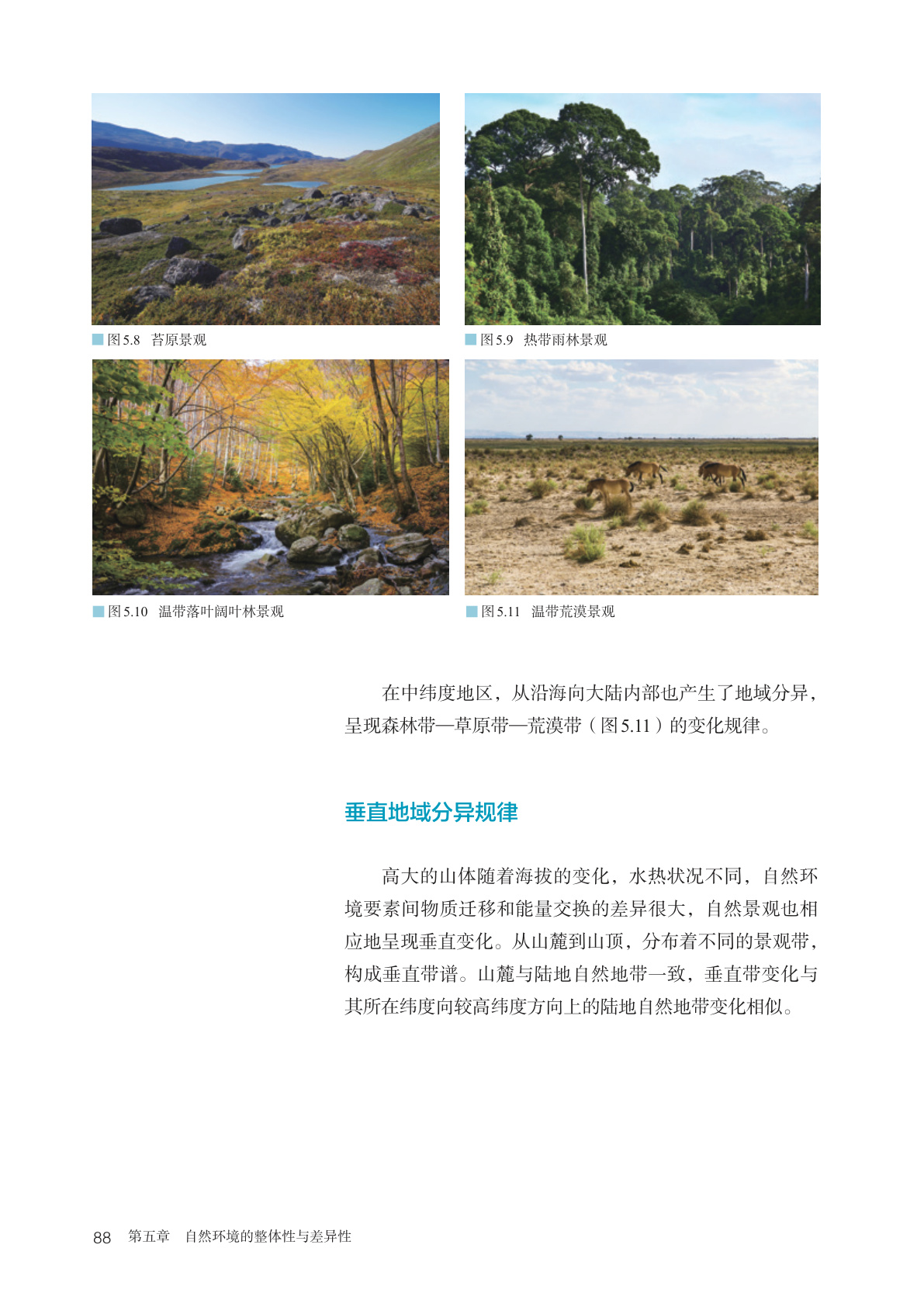 novel_e333b9b3077c.jpg