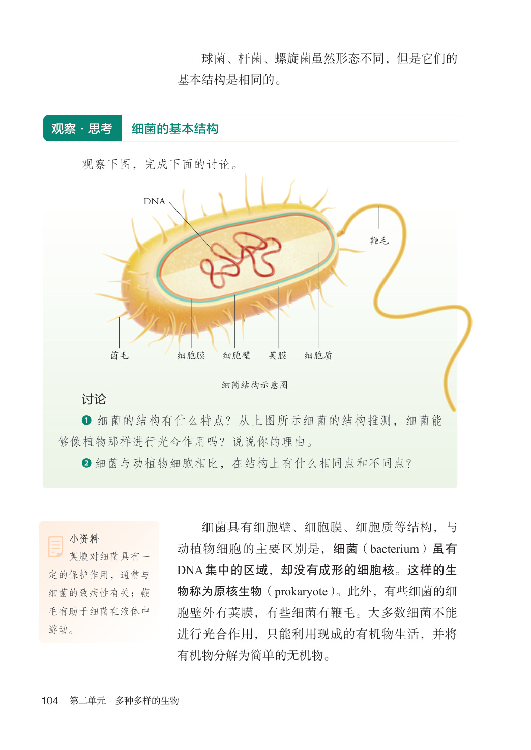 novel_0f3761665a3e.jpg