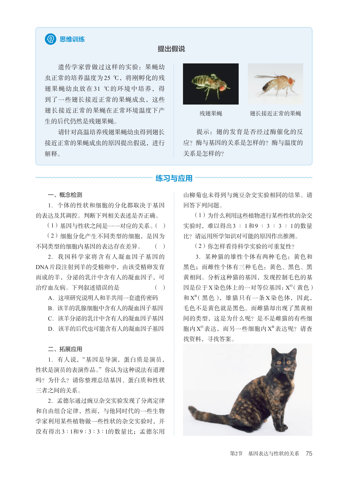 novel_f3d8ffaa6245.jpg