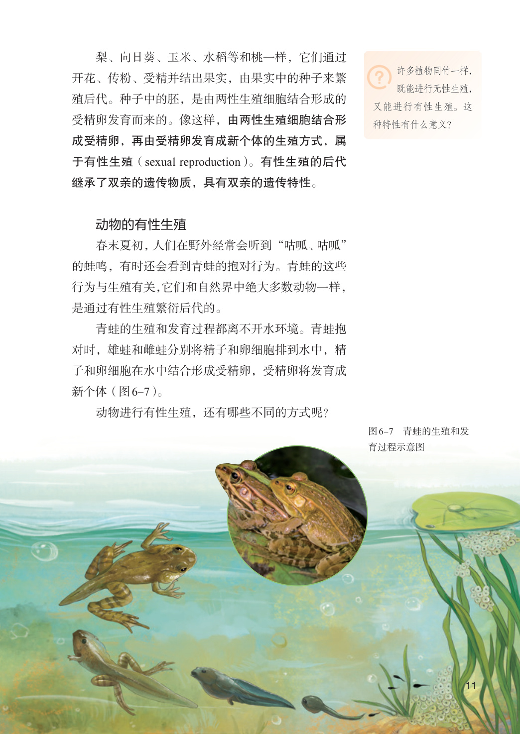 novel_132fae53eff6.jpg