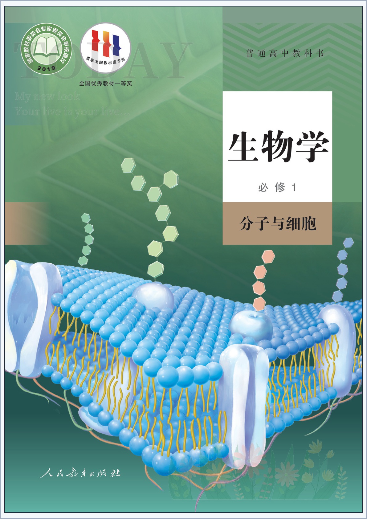novel_8a805c72a7e5.jpg
