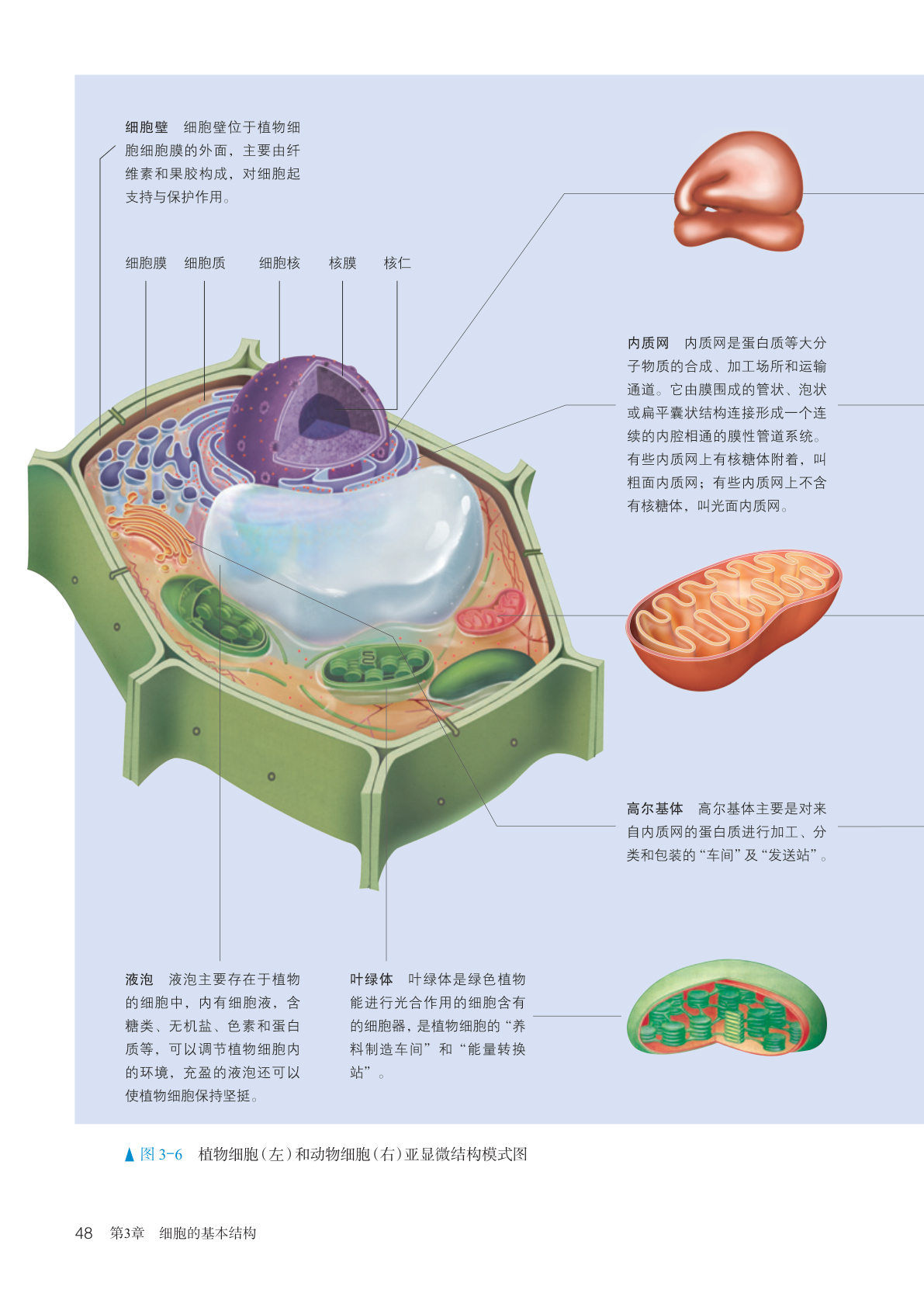 novel_34f9cf744b5c.jpg