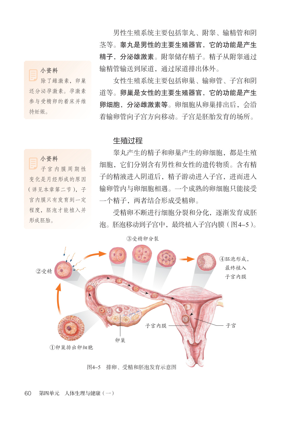novel_bbe62272cc0e.jpg