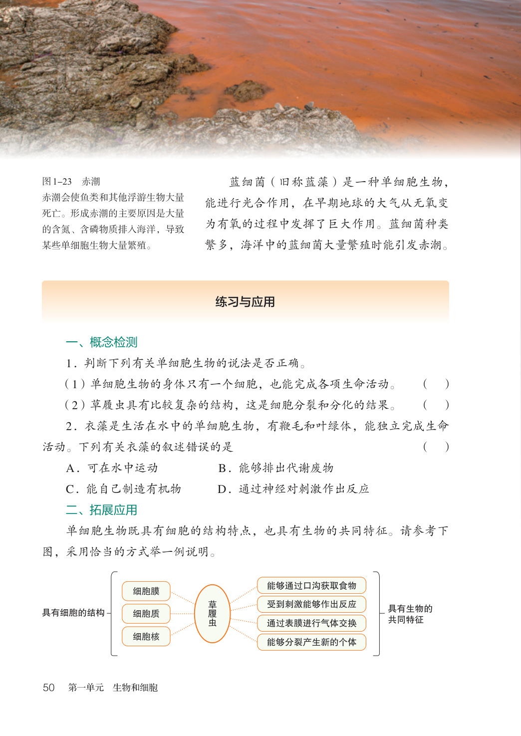 novel_f99996ddbf5f.jpg