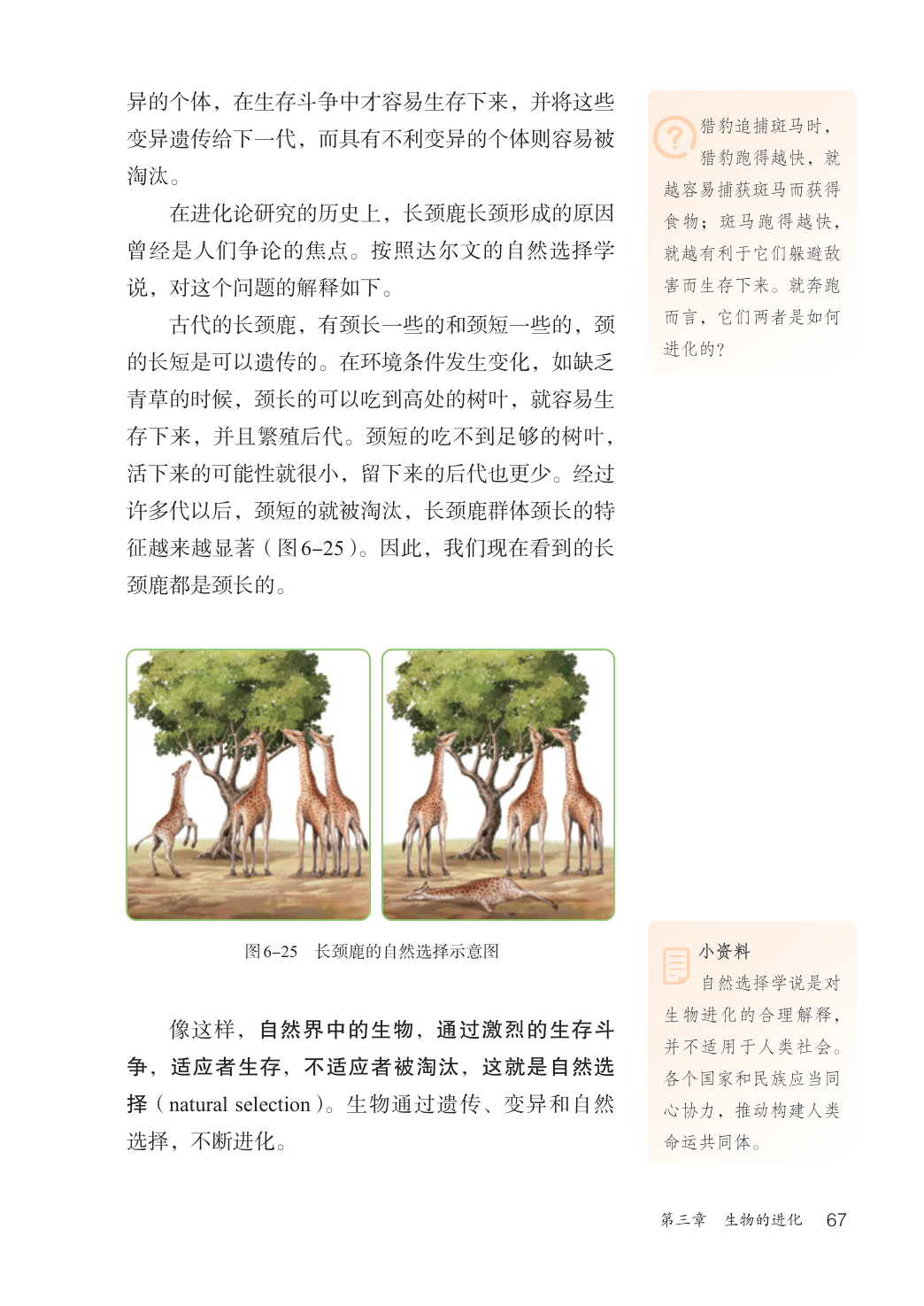 novel_99bb47cd2331.jpg