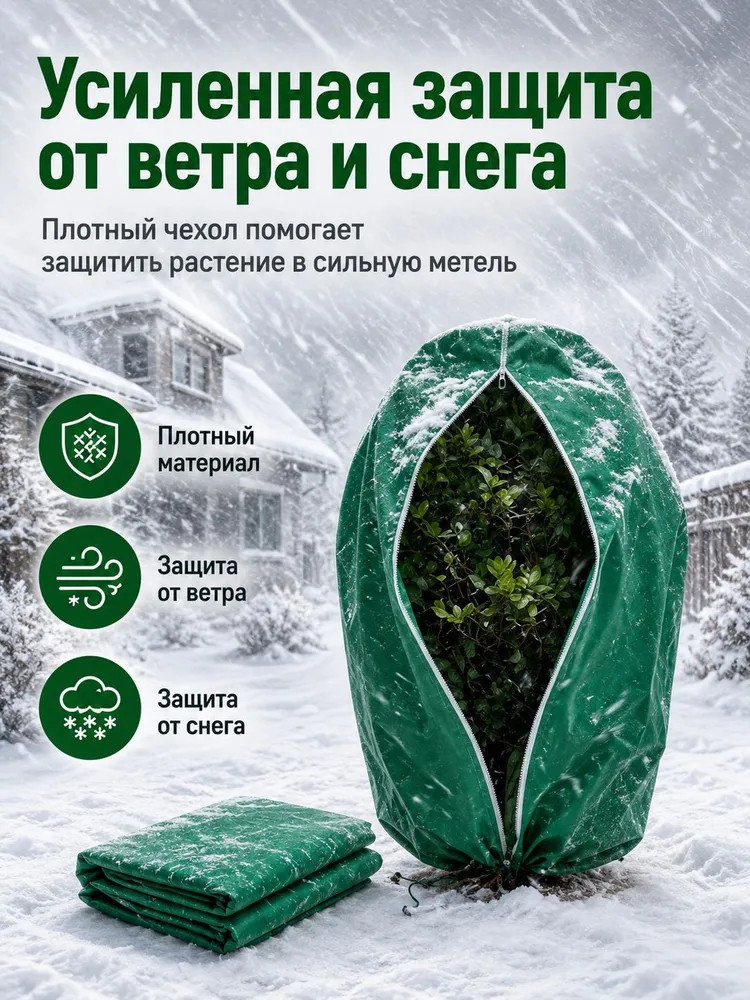 14672856704.webp