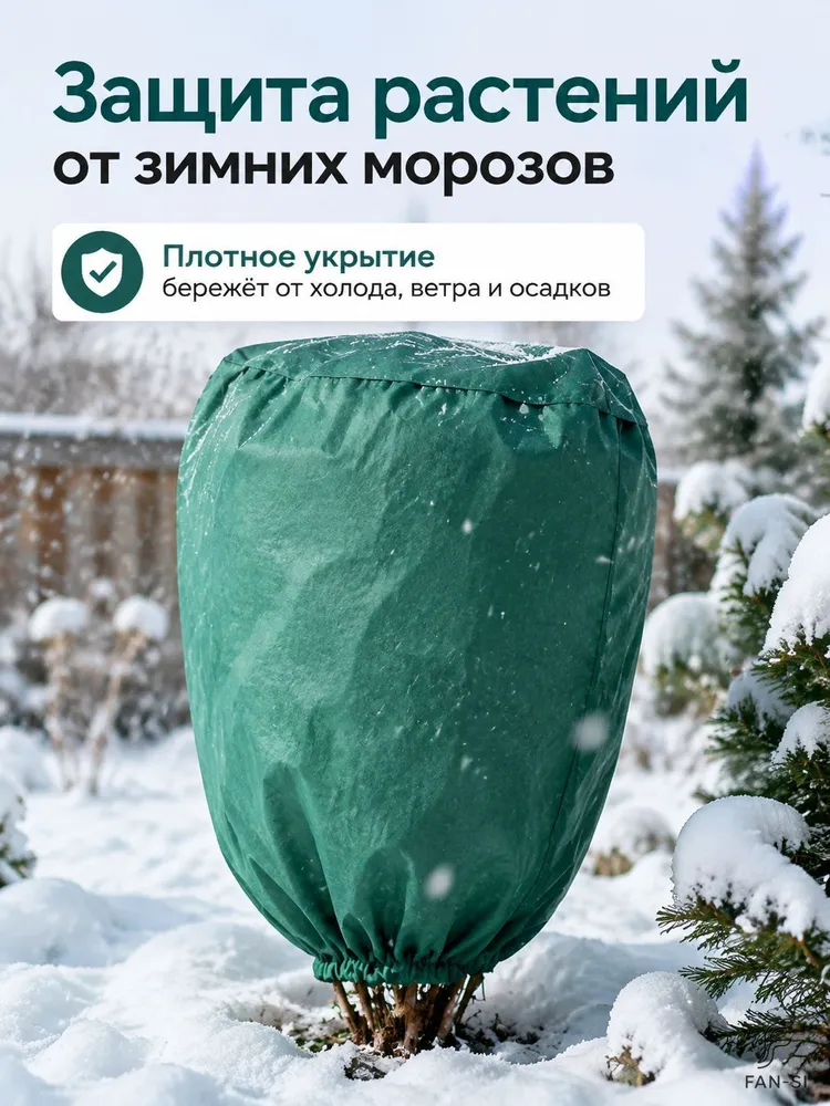 14380353307.webp