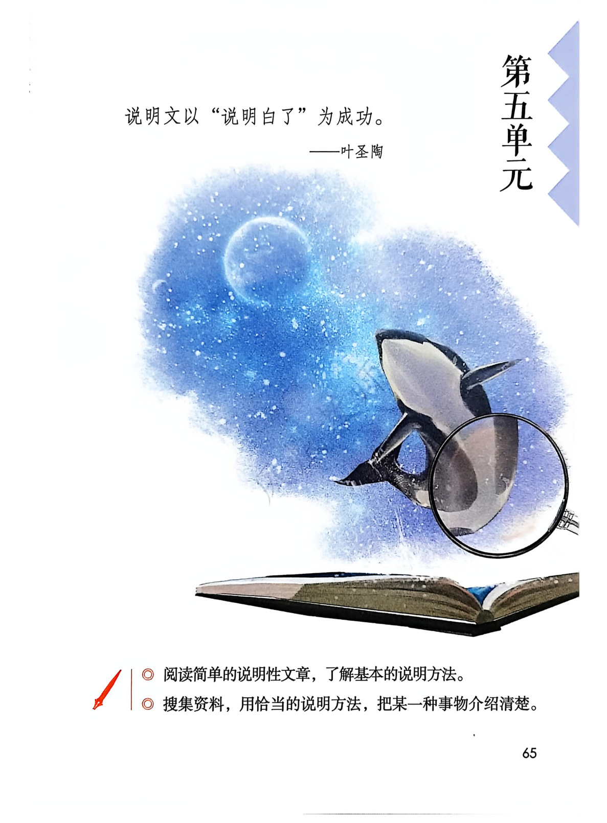 novel_ac329271543e.jpg