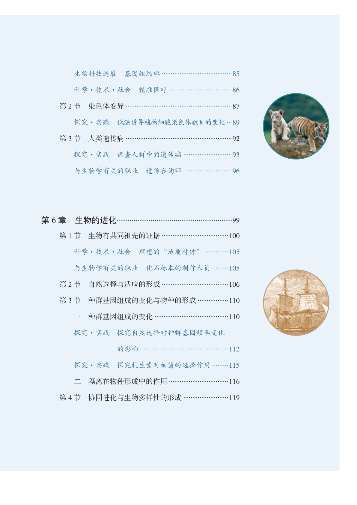 novel_0d34e8d0d819.jpg