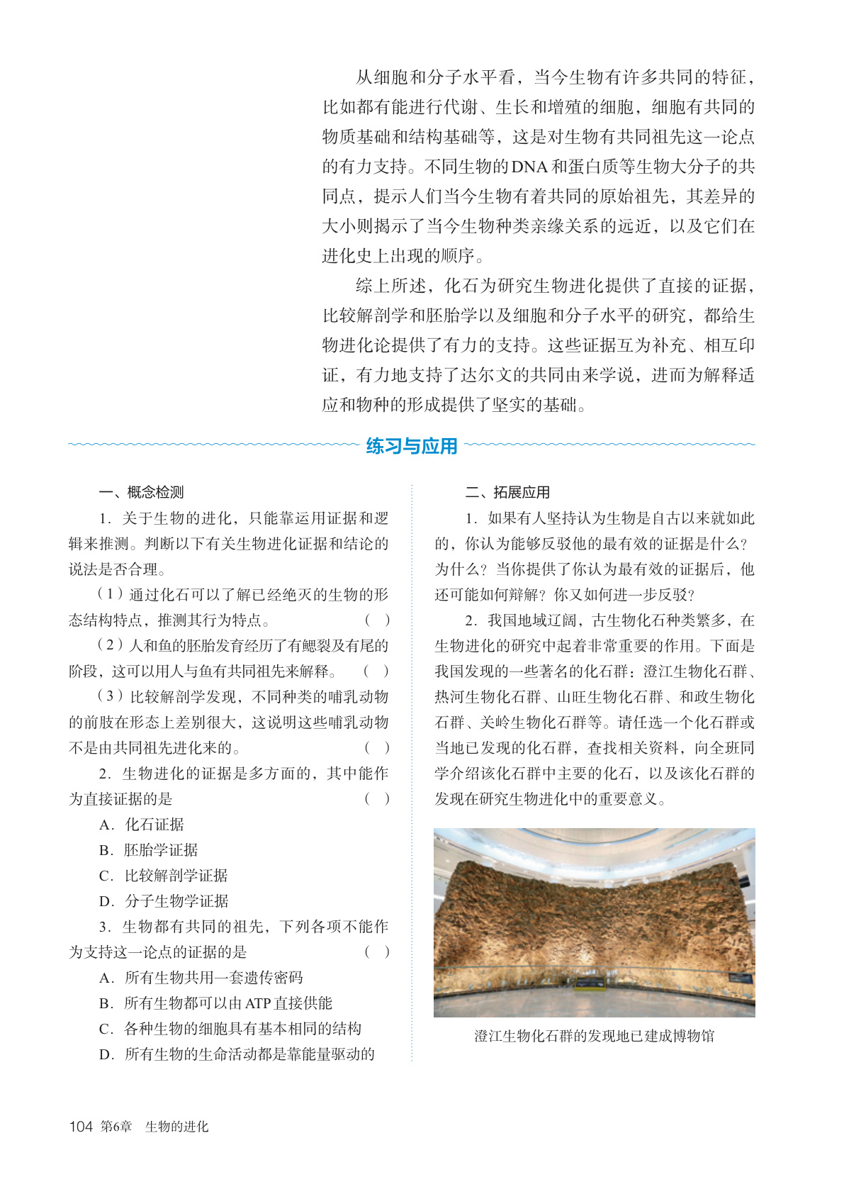 novel_934116f126d5.jpg