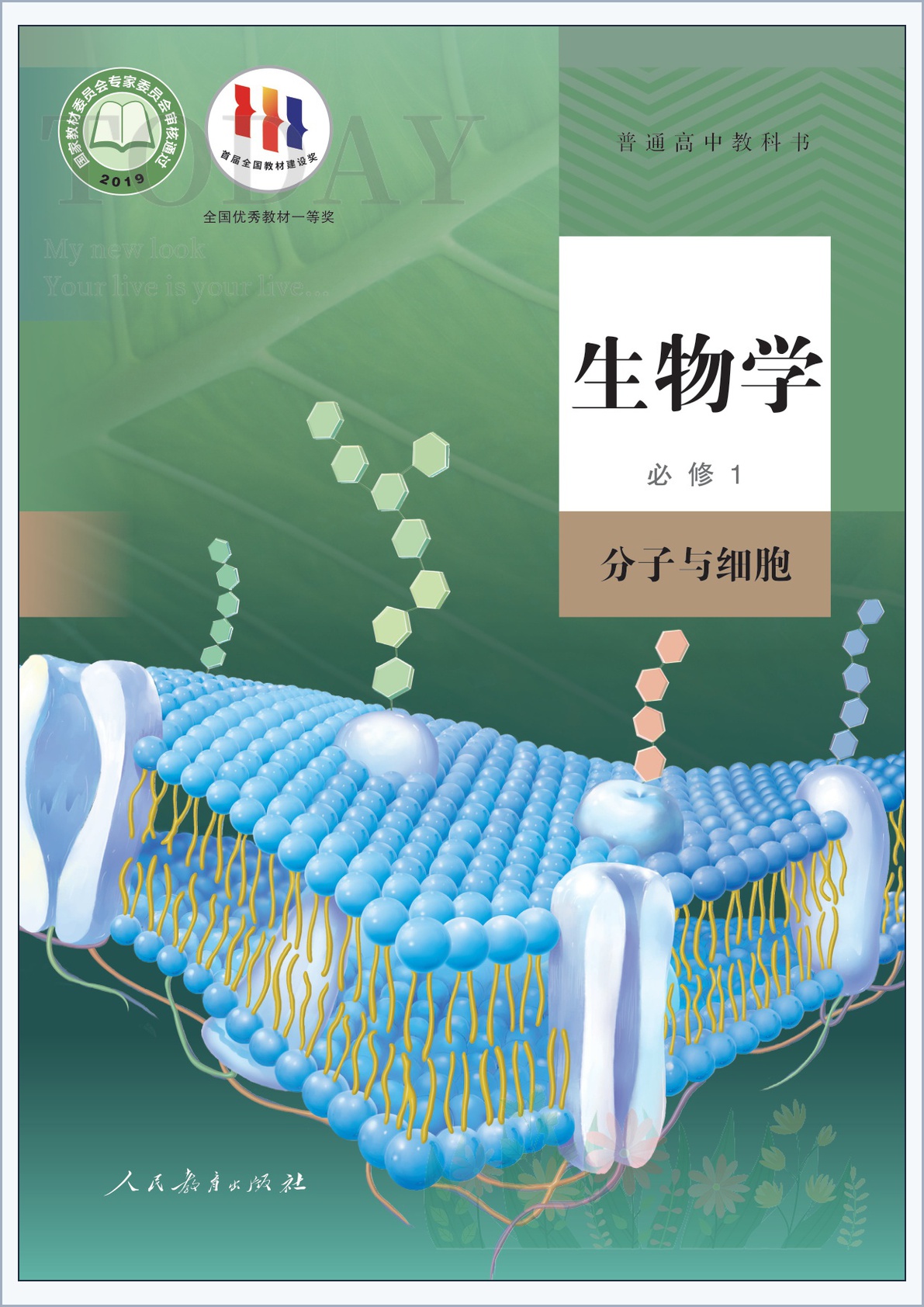 novel_8dd3cf06d34b.jpg