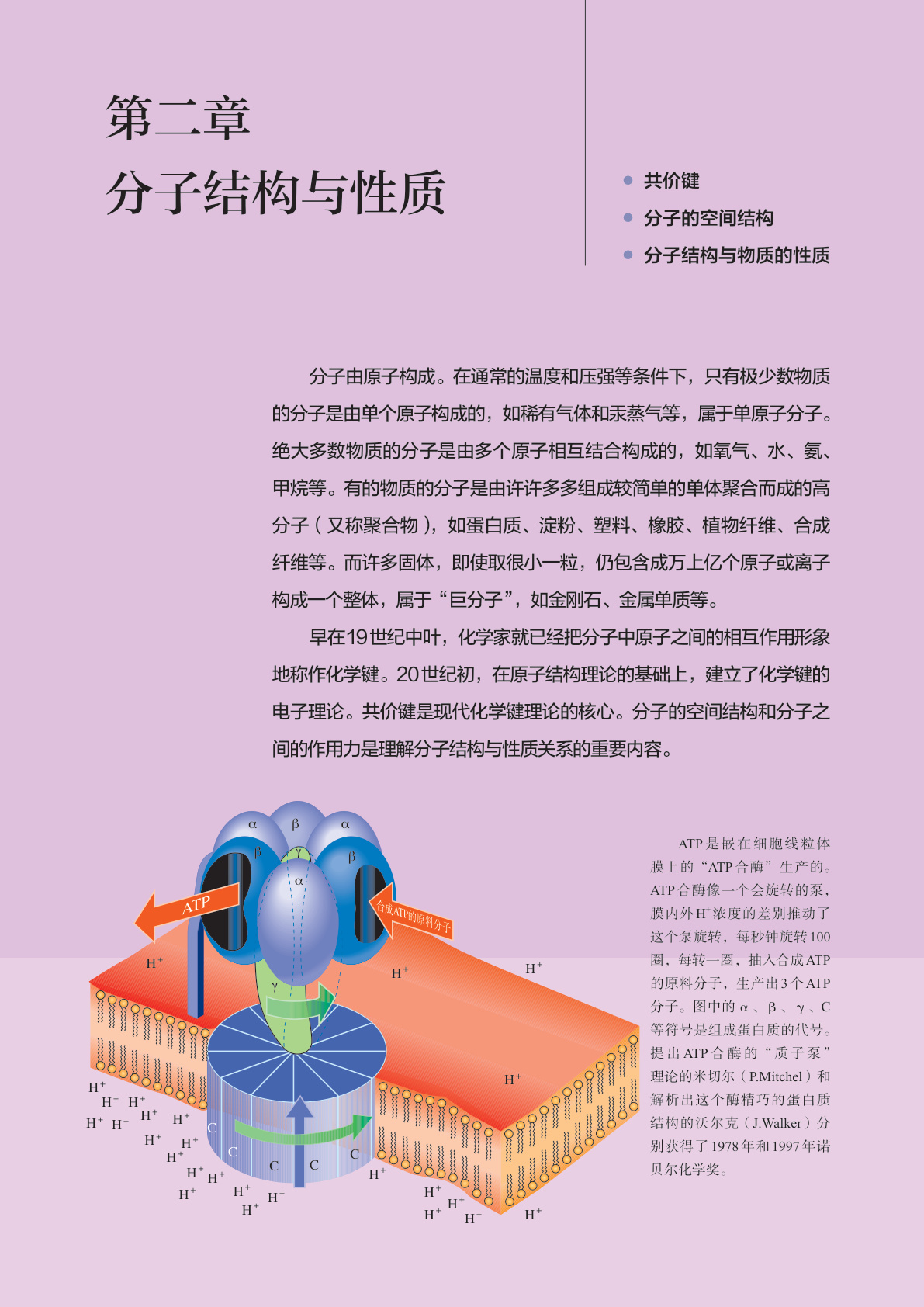 novel_8280e5f224ac.jpg