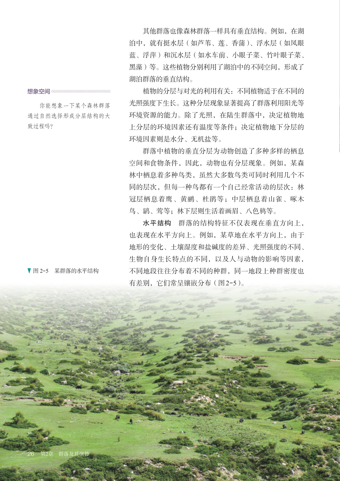 novel_b97fd52926a0.jpg