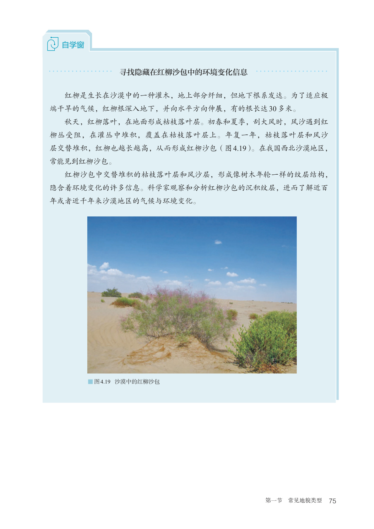 novel_3b5c021aa78b.jpg